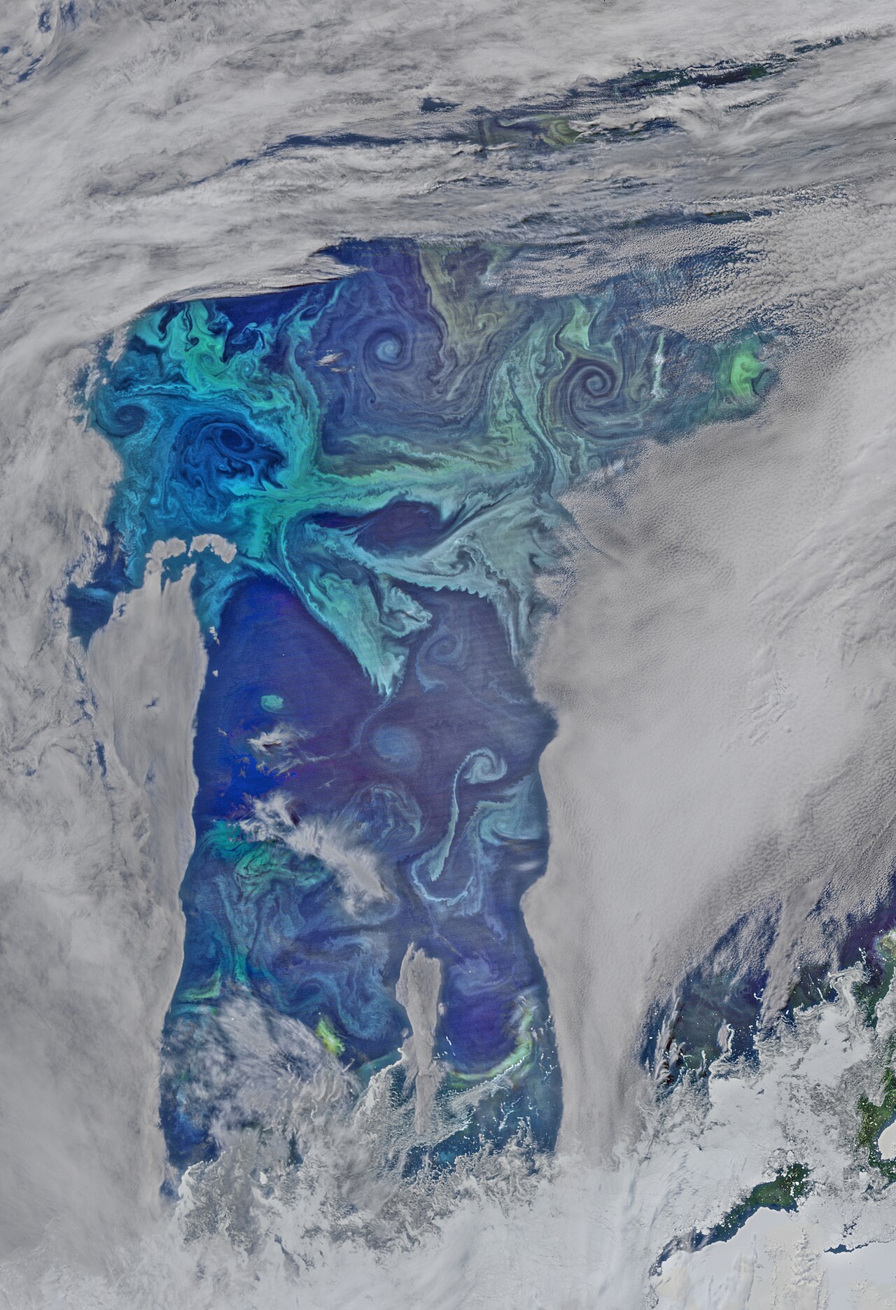 Ocean colour gives scientists a wider view of marine ecosystems